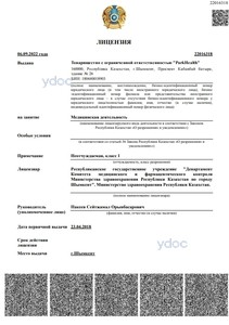 Лицензия Лицензия