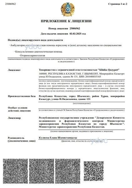 Лицензия Лицензия