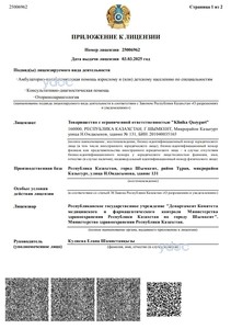 Лицензия Лицензия