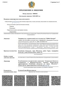 Лицензия Лицензия