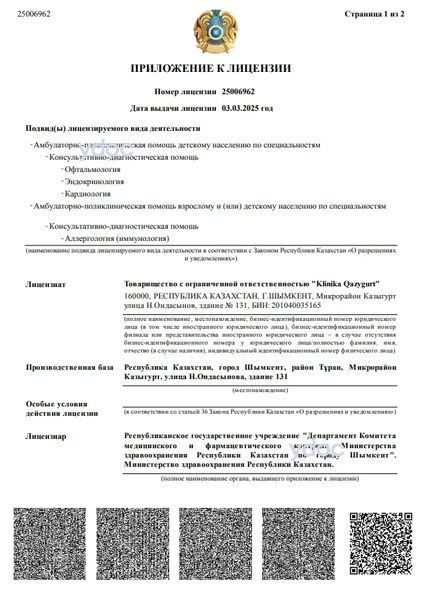 Лицензия Лицензия