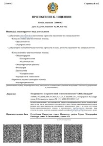 Лицензия Лицензия