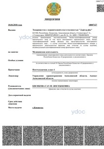 Лицензия Лицензия