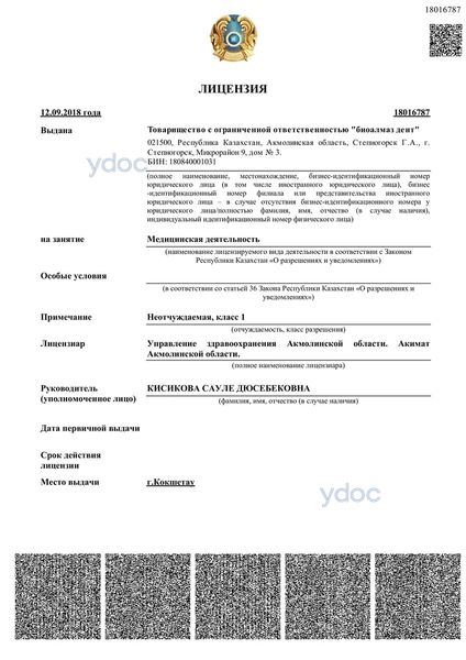 Лицензия Лицензия