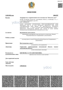 Лицензия Лицензия