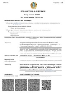 Приложение к лицензии