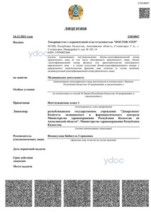 Лицензия Лицензия