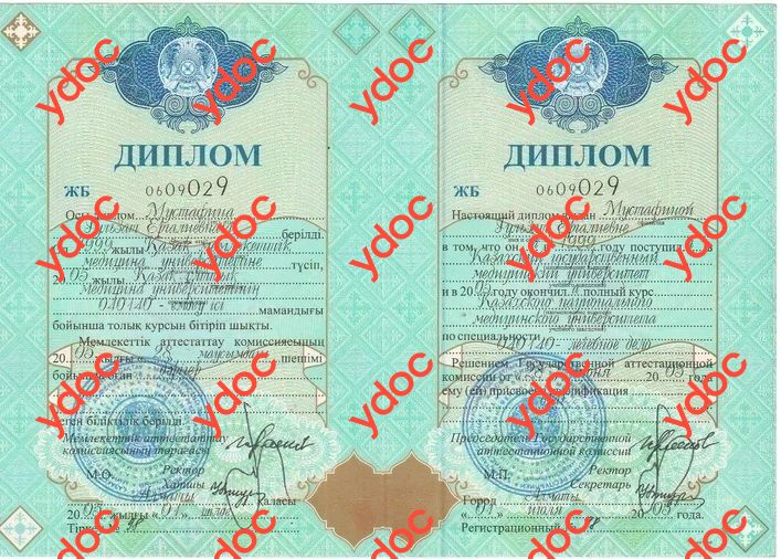 Документы и фотографии - Гульзат Е.