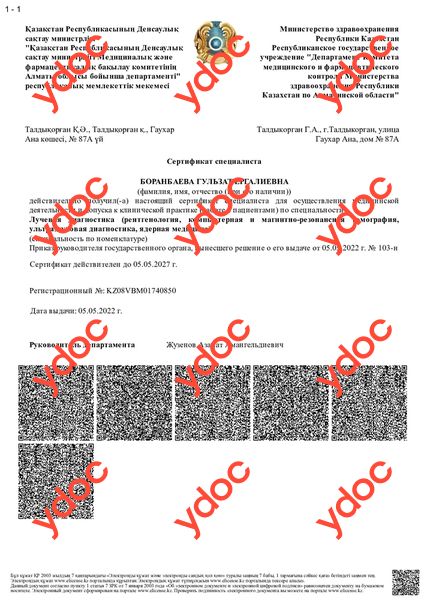 Документы и фотографии - Гульзат Е.