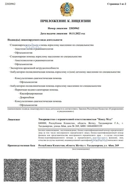 Лицензия Лицензия