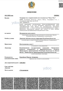 Лицензия Лицензия