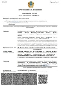 Приложение к лицензии Приложение к лицензии