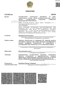 Лицензия Лицензия