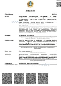 Лицензия Лицензия