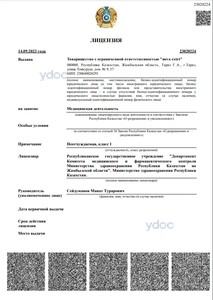 Лицензия Лицензия