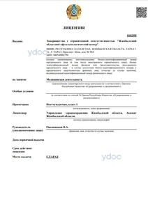 Лицензия Лицензия