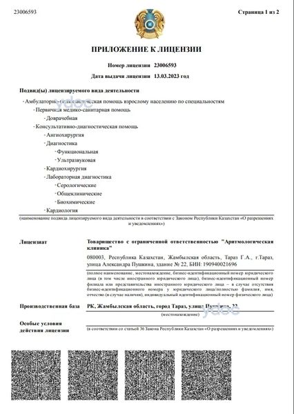 Лицензия Лицензия