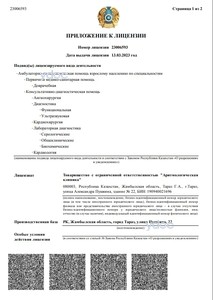 Лицензия Лицензия