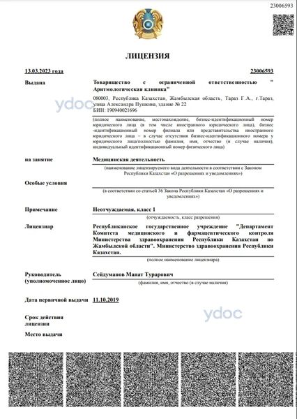 Лицензия Лицензия