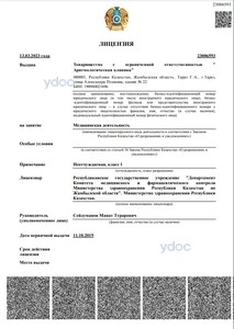 Лицензия Лицензия