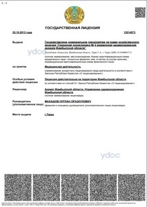 Лицензия Лицензия