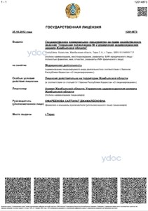 Лицензия Лицензия