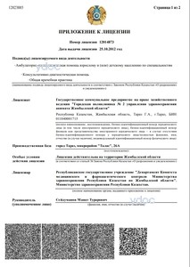 Лицензия Лицензия