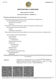 Лицензия Лицензия