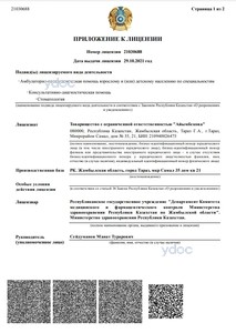 Лицензия Лицензия