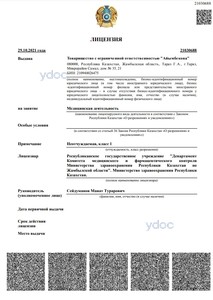 Лицензия Лицензия