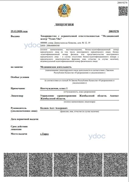 Лицензия Лицензия