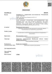 Лицензия Лицензия