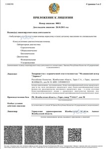 Лицензия Лицензия