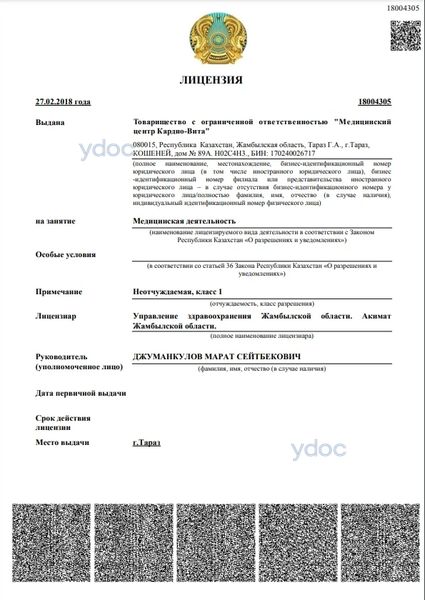 Лицензия Лицензия