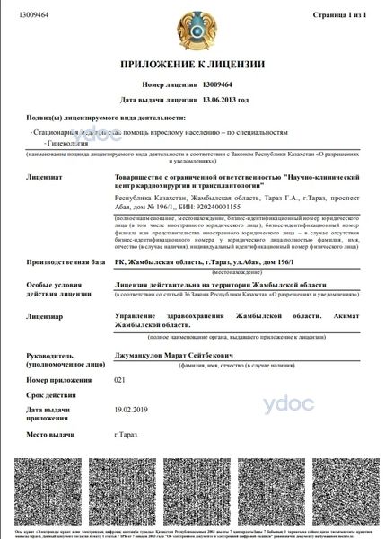 Лицензия Лицензия