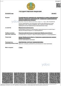 Лицензия Лицензия