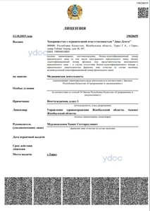 Лицензия Лицензия