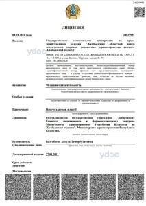 Лицензия Лицензия