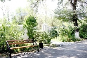 Территория клиники Территория клиники