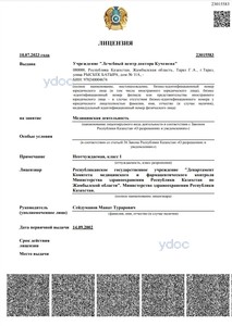 Лицензия Лицензия