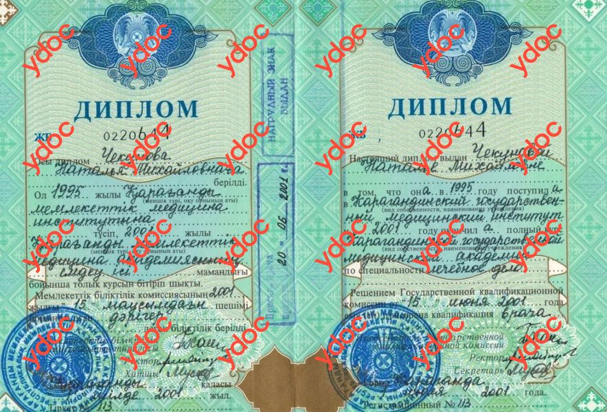 Документы и фотографии - Портнова Н. М.