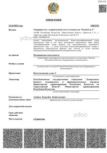 Лицензия Лицензия