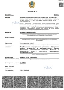 Лицензия Лицензия