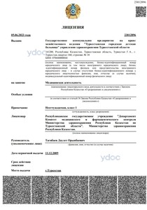 Лицензия Лицензия