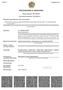 Приложение к лицензии