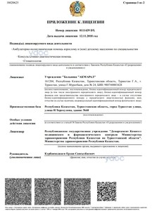 Приложение к лицензии Приложение к лицензии