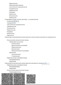 Приложение к лицензии Приложение к лицензии