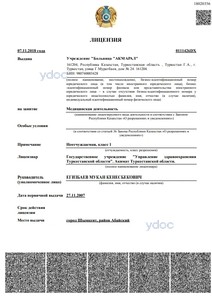 Лицензия Лицензия