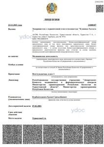 Лицензия Лицензия