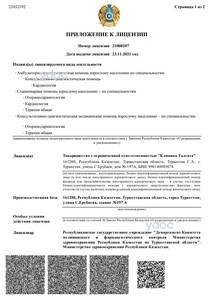 Приложение к лицензии Приложение к лицензии